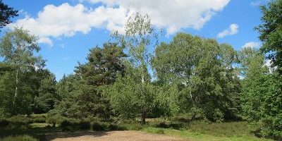 Hirschacker und Dossenwald