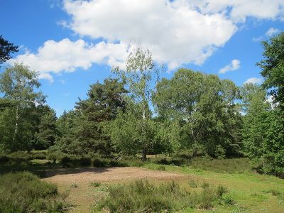 Hirschacker und Dossenwald