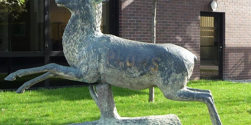 John Deere Forum