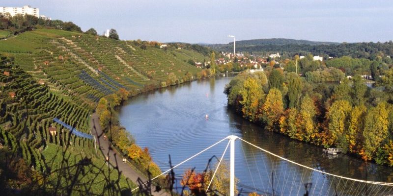 Neckar