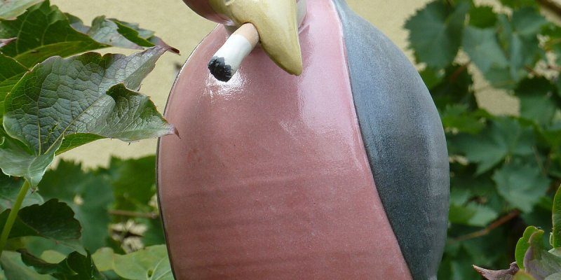 Pinguine