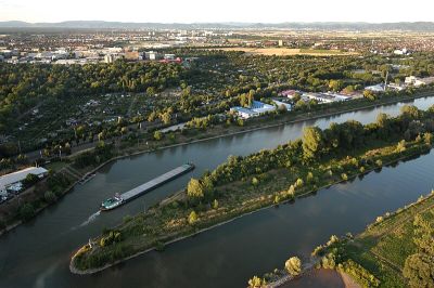 Unterer Neckar: Maulbeerinsel