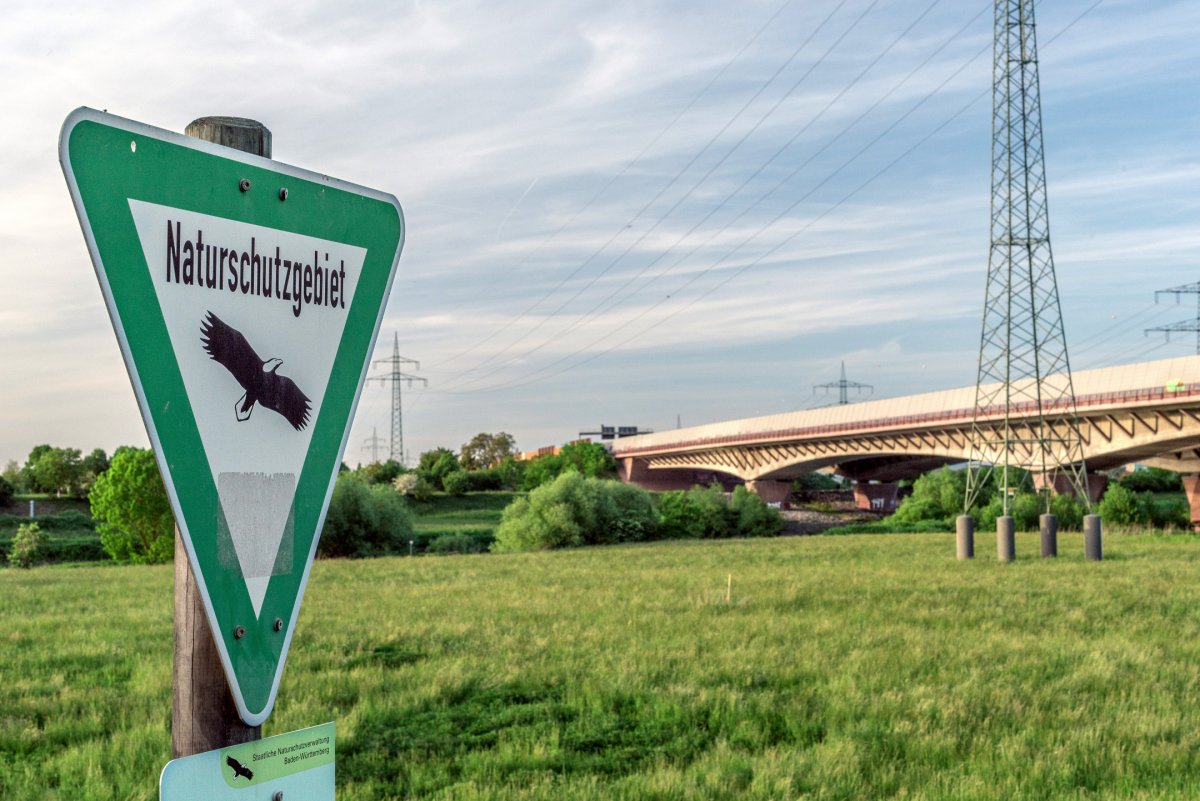 Unterer Neckar: Wörthel