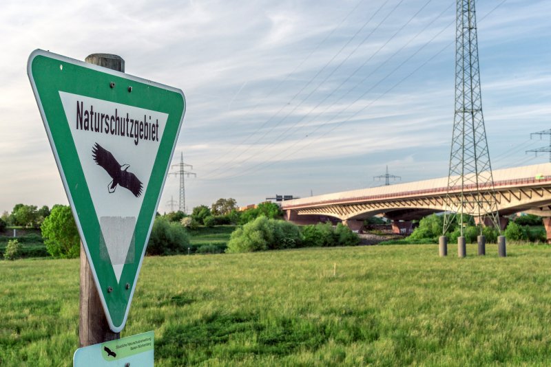 Unterer Neckar: Wörthel