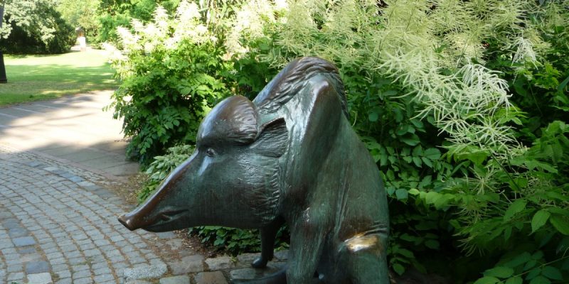 Wildschwein