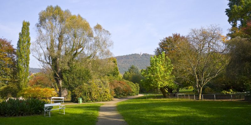 Alter Botanischer Garten
