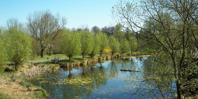 Botanischer Garten