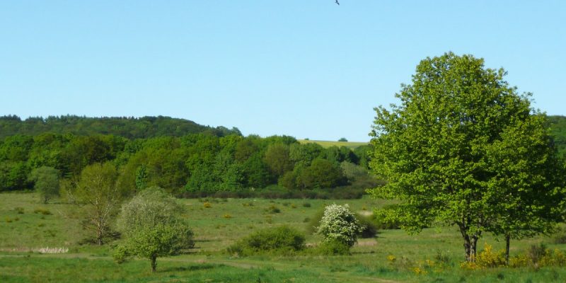 Kleine Lummersbach bei Cyriaxweimar