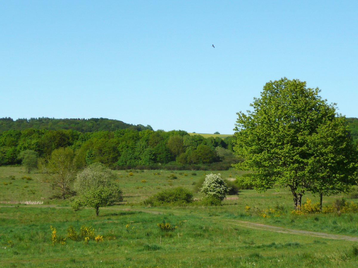 Kleine Lummersbach bei Cyriaxweimar
