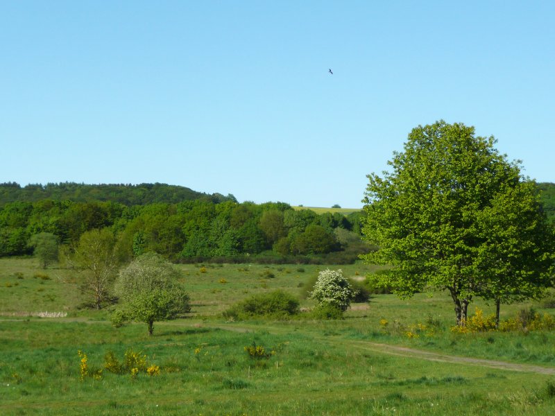 Kleine Lummersbach bei Cyriaxweimar