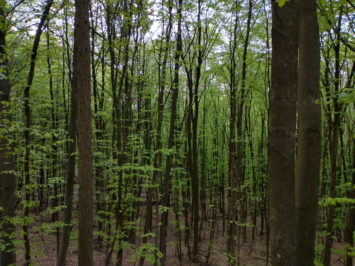 Teufelsgraben