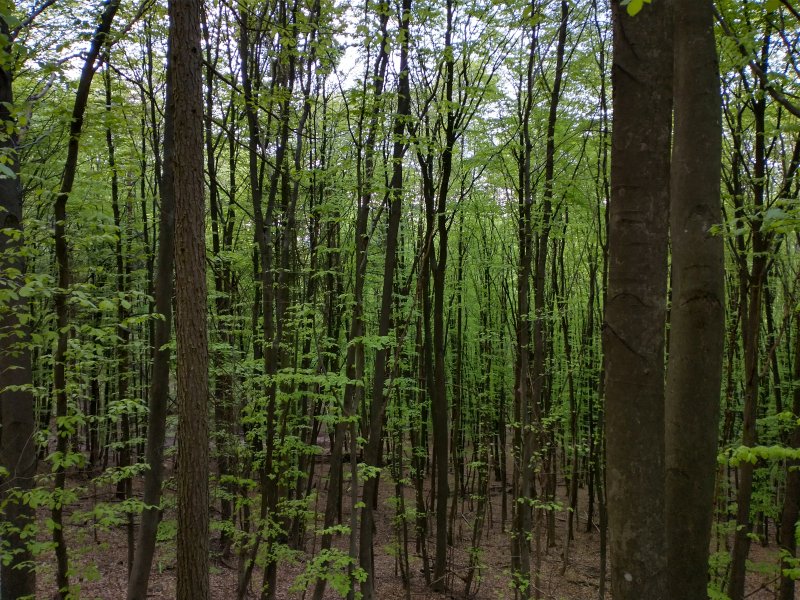 Teufelsgraben
