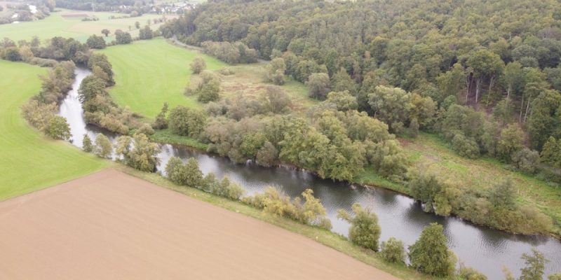 Unterm Wolfsberg
