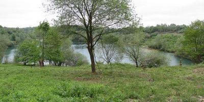 Baggersee Vorster Busch