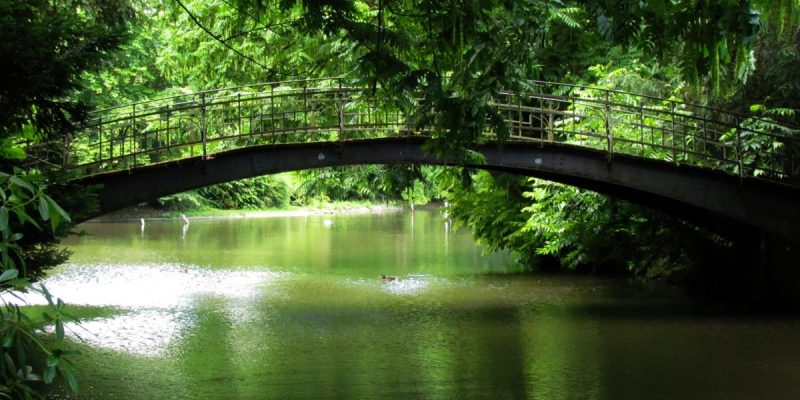 Vogelbrücke