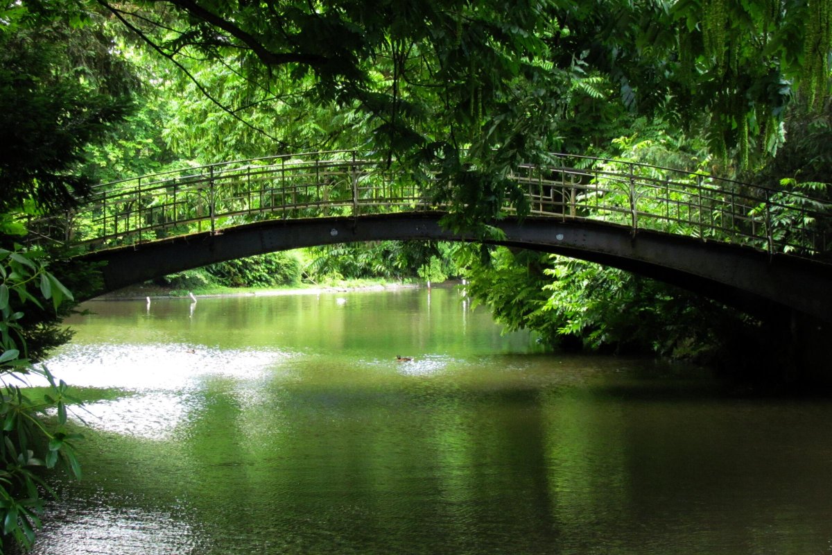 Vogelbrücke