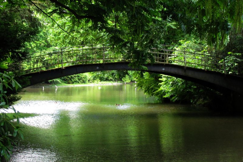 Vogelbrücke