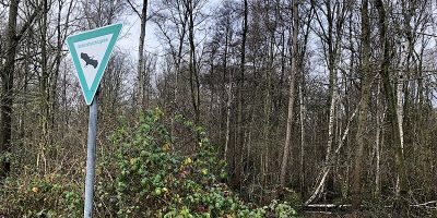 Volksgarten-Bungtwald-Elschenbruch