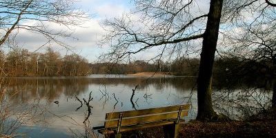 Entenfang