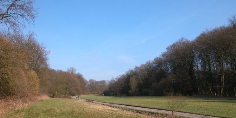 Forstbachtal