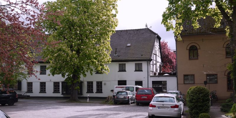 Kaiser-Eiche