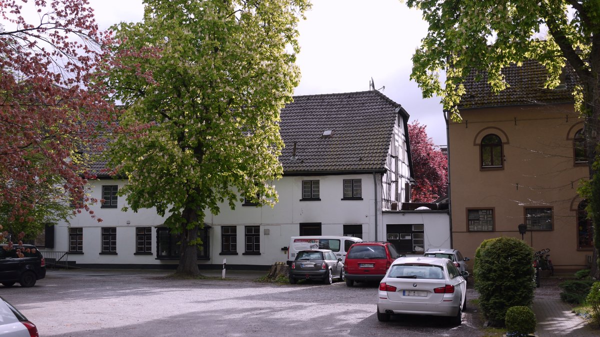 Kaiser-Eiche
