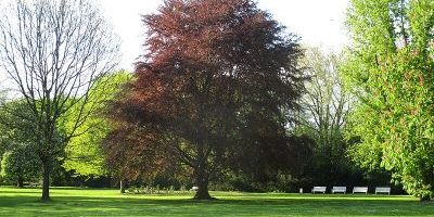 Raffelbergpark