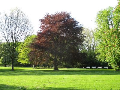 Raffelbergpark