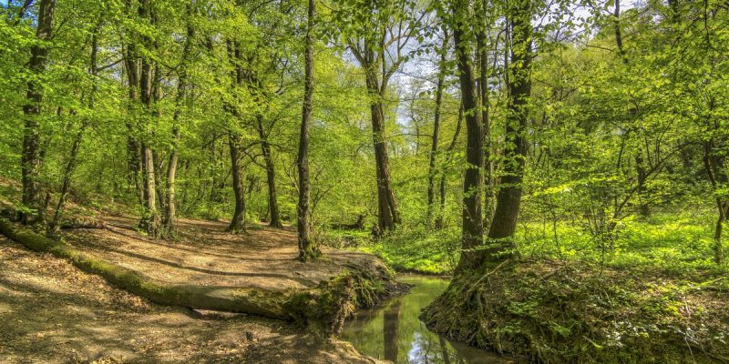 Rumbachtal, Gothenbach, Schlippenbach