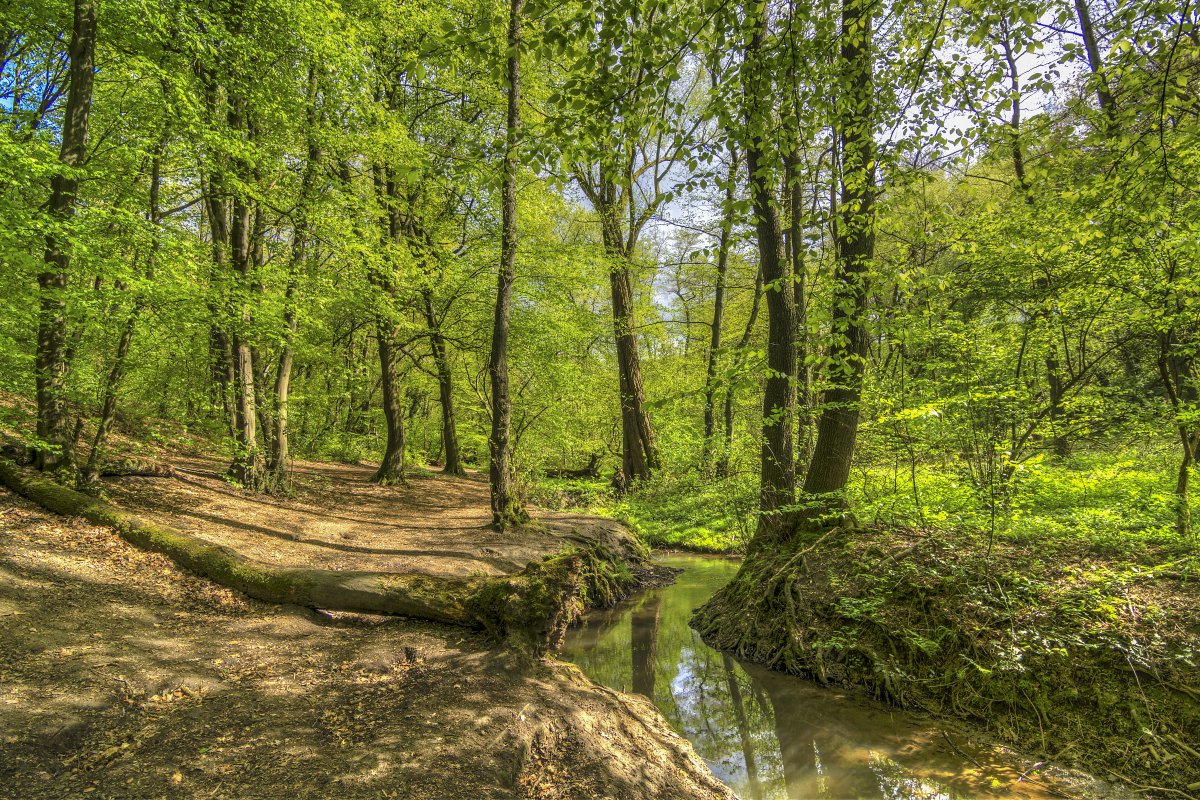Rumbachtal, Gothenbach, Schlippenbach