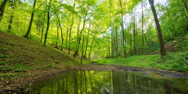 Schmitterbachtal