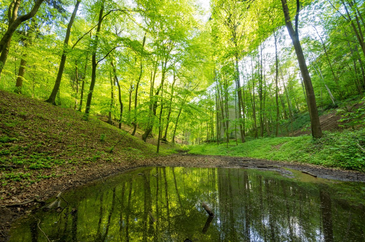 Schmitterbachtal