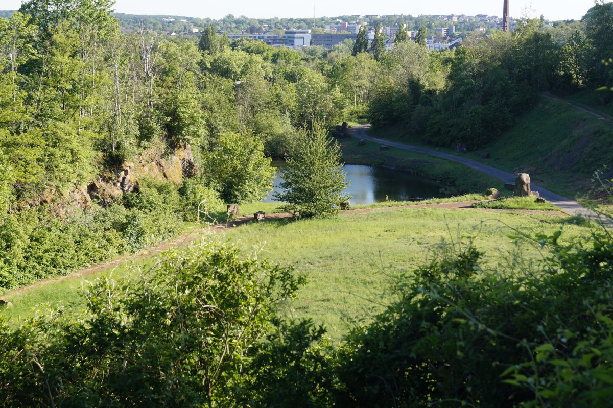 Steinbruch Rauen