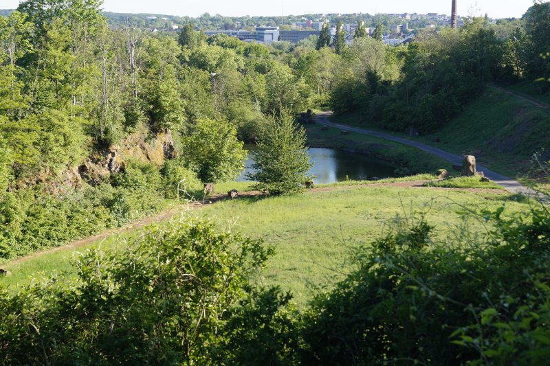 Steinbruch Rauen
