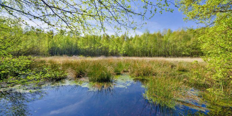 Wambachtal und Oembergmoor