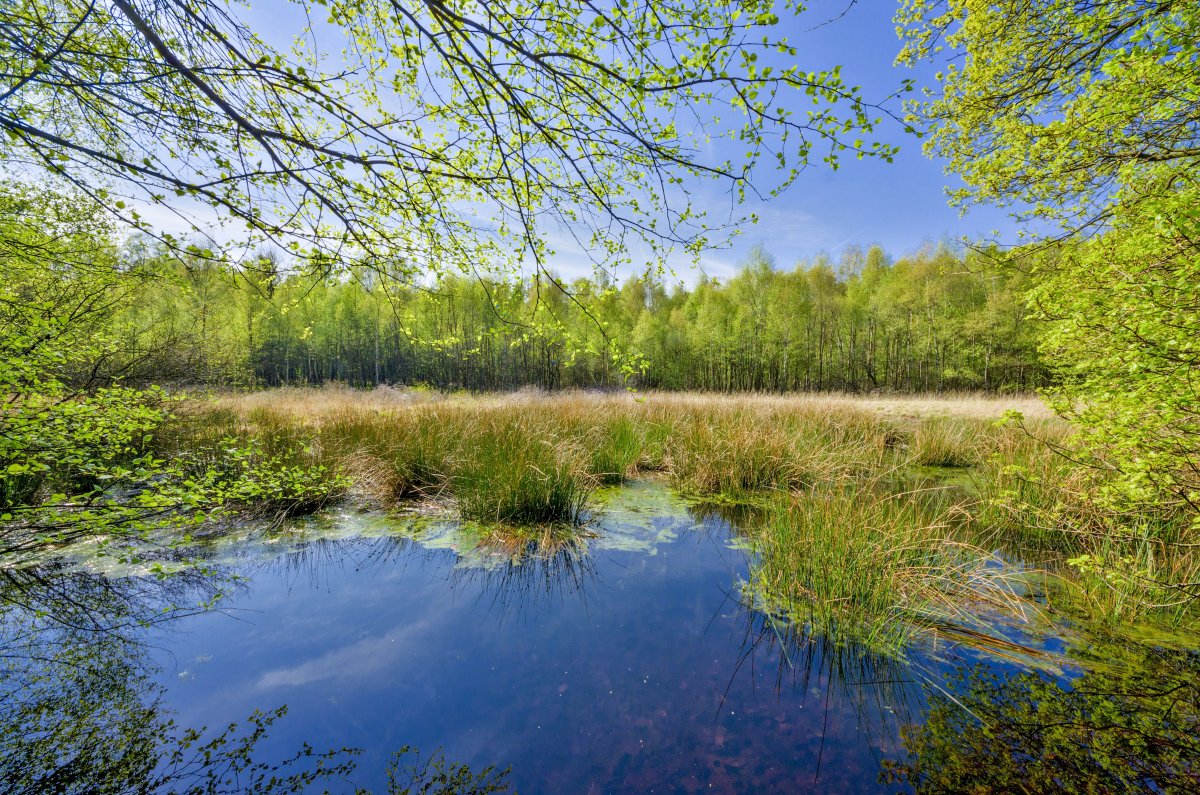 Wambachtal und Oembergmoor