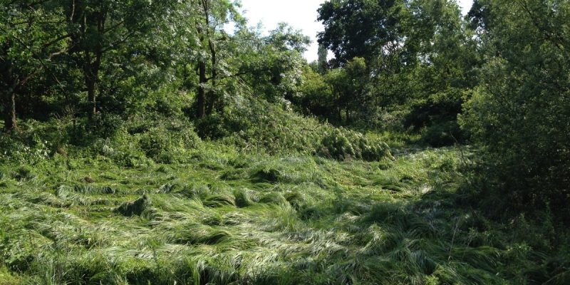 Winkhauser Bachtal