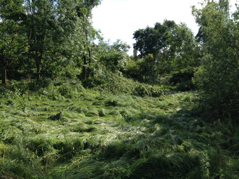Winkhauser Bachtal
