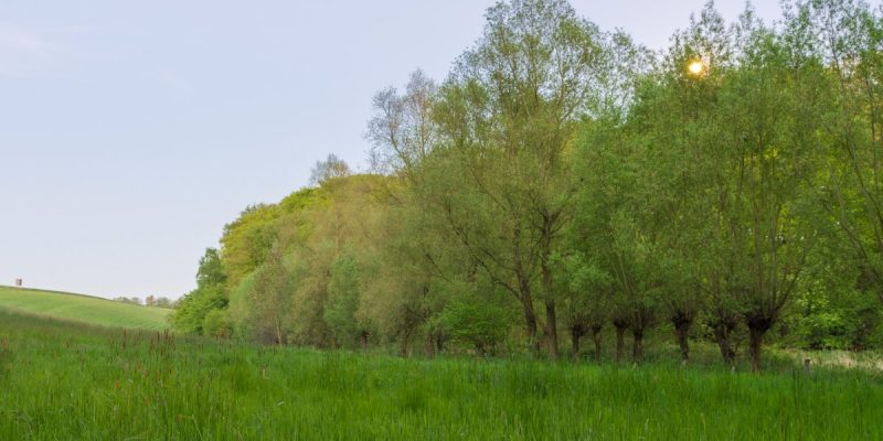 Zinsbachtal