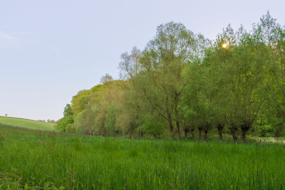 Zinsbachtal