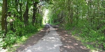 Allacher Forst (Nordwest 1)