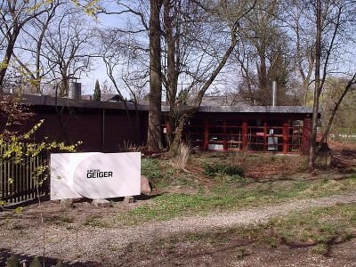 Archiv Geiger