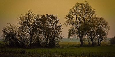 Aubinger Lohe und Moosschwaige