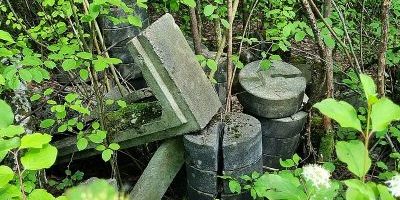Baumkirchen Mitte - Ökologische Vorrangfläche