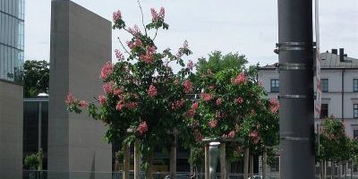 Bernd-Eichinger-Platz