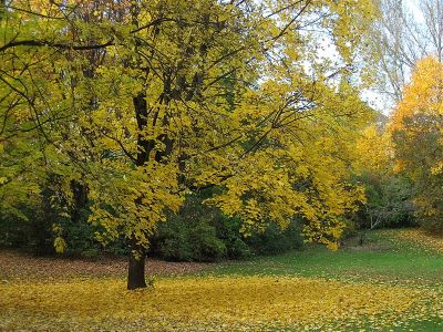 Dichtergarten