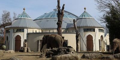 Elefantenhaus