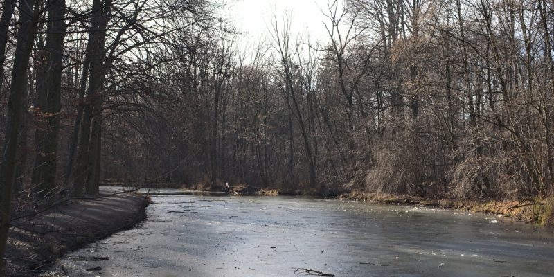 Entenfallweiher