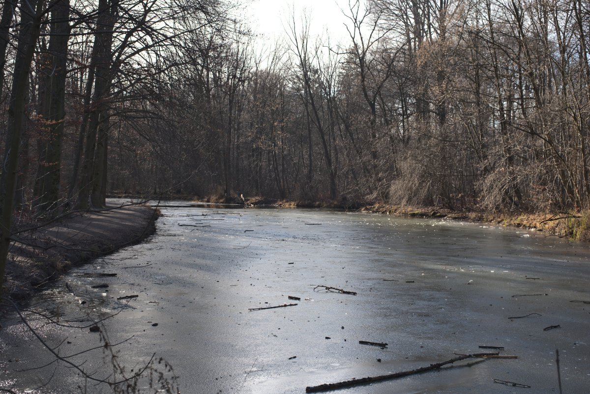 Entenfallweiher