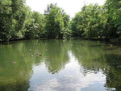 Entenweiher